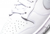 DUNK LOW WHITE PURE PLATINUM [DV0831-101]