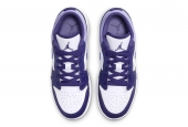 AIR JORDAN 1 LOW SKY J PURPLE [553560-515]