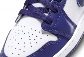 AIR JORDAN 1 LOW SKY J PURPLE [553560-515]