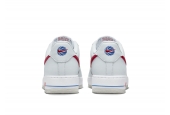 AIR FORCE 1 ’07 TEAM USA [DX2660-001]