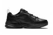 AIR MONARCH IV BLACK [415445-001]