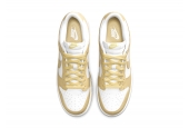 DUNK LOW TEAM GOLD [DV0833-100]
