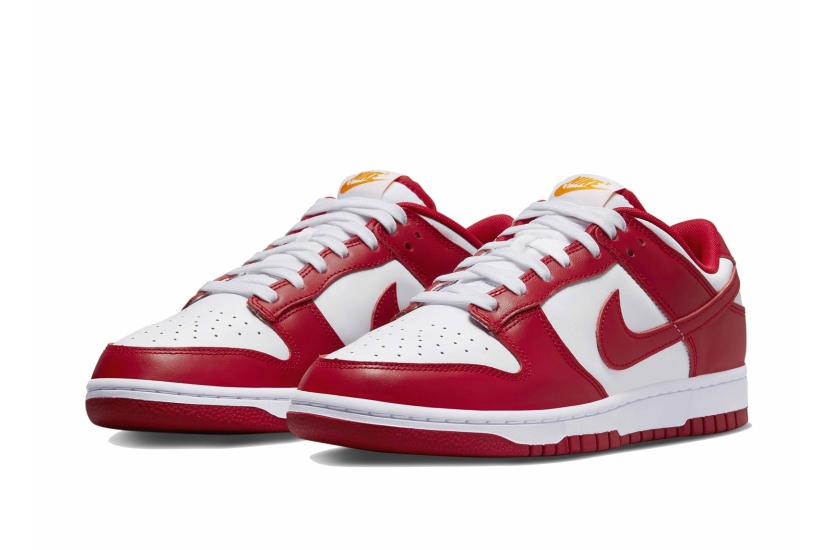 DUNK LOW GYM RED [DD1391-602]