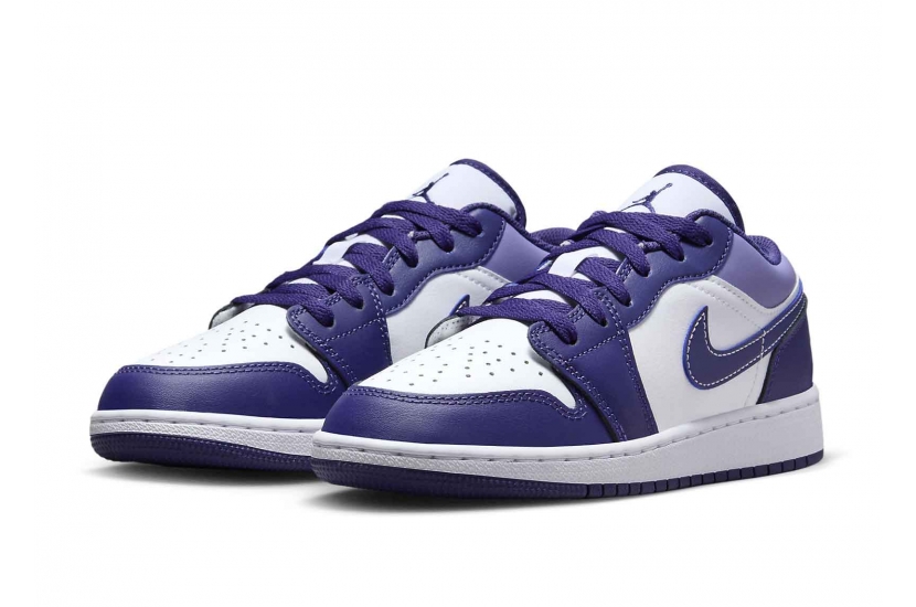 AIR JORDAN 1 LOW SKY J PURPLE [553560-515]