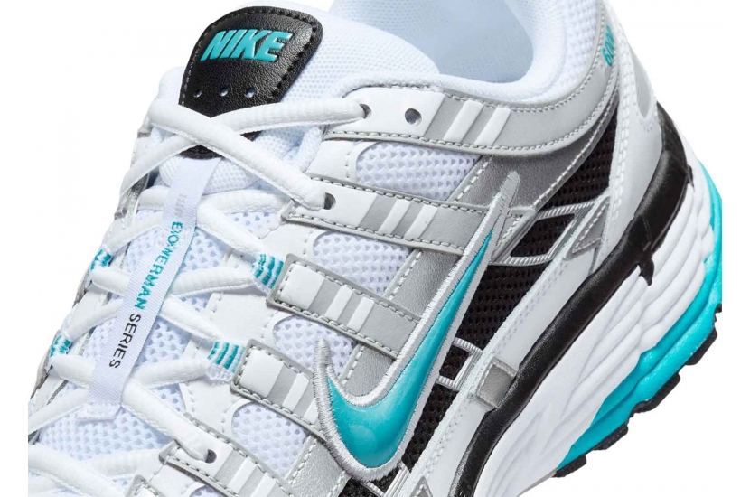 P-6000 DUSTY CACTUS [CD6404-103]