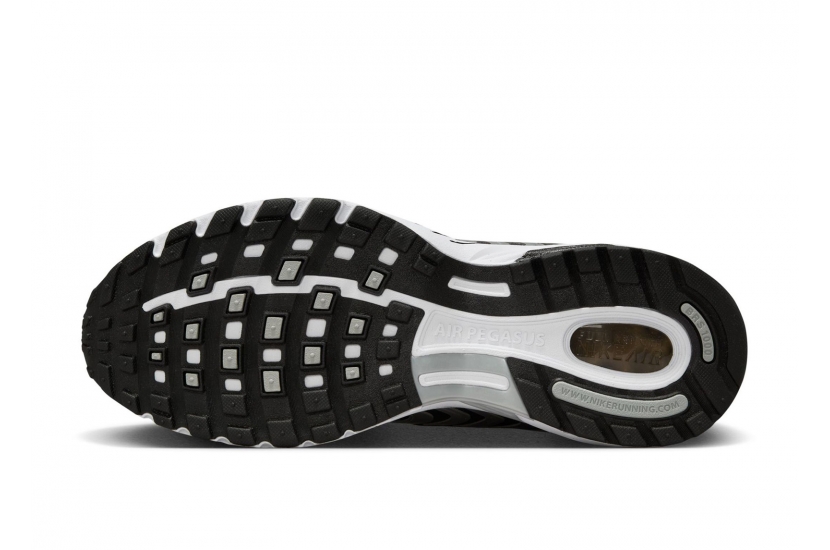 AIR PEGASUS 2K5 METALLIC SILVER [HQ3031-002]